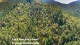 4889 Thompson Creek Road - Photo 3