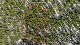  Lot 2 Royce Pine Road - Photo 3