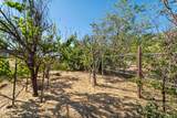 11438 Horny Hollow Trail - Photo 25