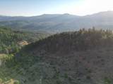 0 Evans Creek Road - Photo 4