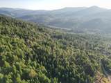 0 Evans Creek Road - Photo 5
