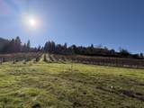 202 Pleasant View Road - Photo 59