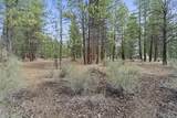 39314 Chiloquin Ridge Road - Photo 47