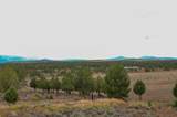 13330 Homeland Road - Photo 87