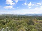 259 Tina Way - Photo 40