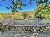 2864 Griffin Creek Road - Photo 25