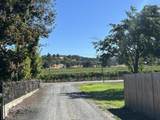 2864 Griffin Creek Road - Photo 29