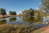 2863 Fern Lane - Photo 20