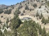 16240 Lost Coyote Lane - Photo 6
