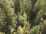 260 Warren Road - Photo 5