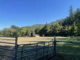 4835 Thompson Creek Road - Photo 35