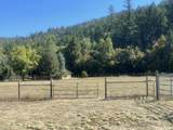 4835 Thompson Creek Road - Photo 42