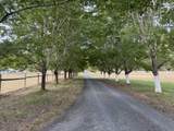 4835 Thompson Creek Road - Photo 46