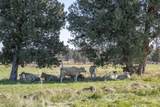 61140 Obernolte Road - Photo 37