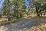 1121 Upper Applegate Road - Photo 2