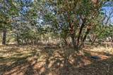 1121 Upper Applegate Road - Photo 24