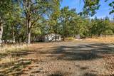 1121 Upper Applegate Road - Photo 3