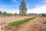 2900 Rogue River Drive - Photo 30