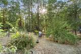 151 Ewe Creek Road - Photo 25