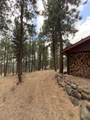 3508 Cougar Butte Lane - Photo 50