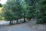709 Pinewood Way - Photo 25
