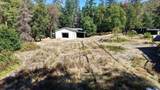 1305 Humbug Creek Road - Photo 11