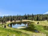 16799 Highway 66 - Photo 49
