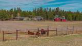 16255 Paulina View Road - Photo 66