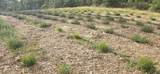 3152 Siskiyou Boulevard - Photo 45