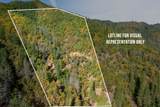 0 Sardine Creek Road - Photo 1