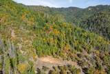 0 Sardine Creek Road - Photo 11