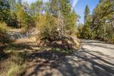 0 Sardine Creek Road - Photo 12