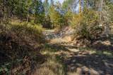 0 Sardine Creek Road - Photo 13