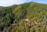 0 Sardine Creek Road - Photo 5