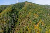 0 Sardine Creek Road - Photo 6