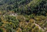 0 Sardine Creek Road - Photo 7