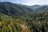 0 Sardine Creek Road - Photo 9