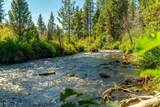  Concannon - Photo 38
