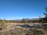  Cedar Trails - Photo 11