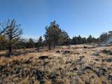  Cedar Trails - Photo 12