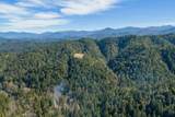  Redwood Highway - Photo 13