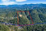  Redwood Highway - Photo 16