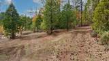 121 Horse Ranch Road - Photo 14