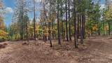 121 Horse Ranch Road - Photo 18
