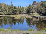 12174 10th Street - Photo 45