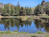 12174 10th Street - Photo 46