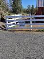 12174 10th Street - Photo 48