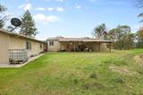 427 Murphy Gulch Road - Photo 3