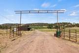 35429 Mccartie Lane - Photo 2