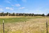 35429 Mccartie Lane - Photo 31